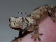 DSC_0355.jpg