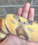 IMG_1555.jpg