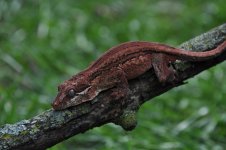 DSC_0012 (1).jpg