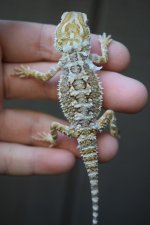 DSC_0314.jpg