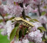 IMG_20190503_172735_732.jpg