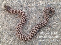 HOLA-19-14.jpg