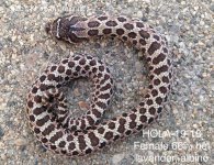 HOLA-19-18.jpg
