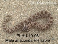 PLHU-19-06 pic 2.jpg