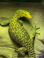IMG_0201.jpg
