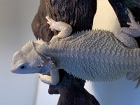 A8D08C0C-074E-481D-B173-050E39C54FF0.jpg