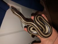 82127C3A-C3E3-4185-BE91-7CE7975D0D21.jpg