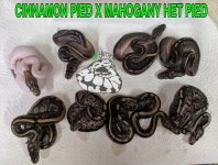 PicsArt_09-01-09.38.19.jpg