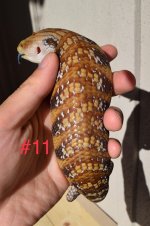 DSC_0305.jpg