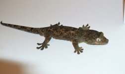 DSC_1083.jpg