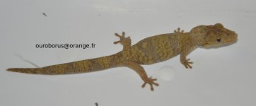 DSC_0177.jpg
