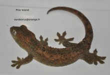 DSC_0180.jpg