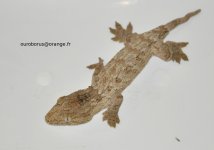 DSC_0155.jpg