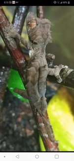 Screenshot_20191006-201039.jpg