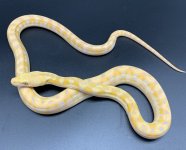 0ECDAA01-00E3-4FEB-B390-FAD5FCF4AFF9.jpg