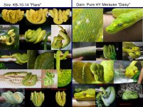 Matt's%20pairing%20photo%20sheet.jpg
