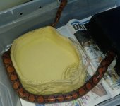 2010-04-11 14.26.15.jpg