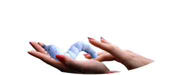 logo(2).png