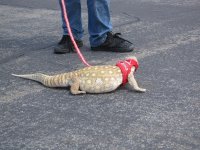 summer 2010 222.jpg