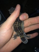 In hand flash.jpg