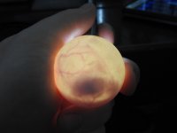 DSCN7853.jpg
