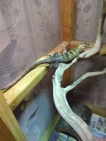 IMG_20190720_142523642.jpg