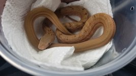20181205_100710.jpg