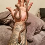 20171202_223336.jpg