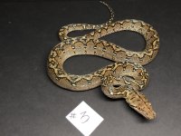 3D21603F-EB7A-4CC4-8393-2CAC3C533DA3.jpg