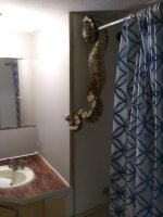 big boa on monkey bar.jpg