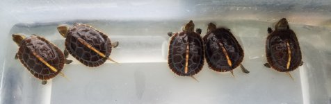 20190814_104848.jpg