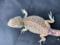 IMG_2104.HEIC.jpg