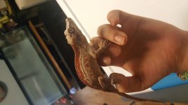20181106_005709.jpg