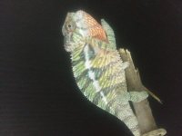 20191001_173533.jpg
