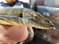 20171111_142037.jpg