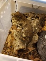 FB_IMG_1573428312127.jpg