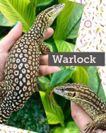 Warlock.jpg
