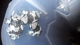 20190826_124445.jpg