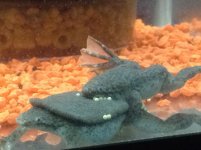 IMG_1642.jpg
