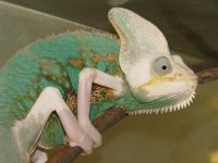 IMG_1881.JPG
