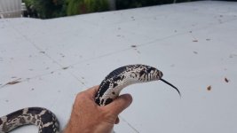 20180819_110104.jpg