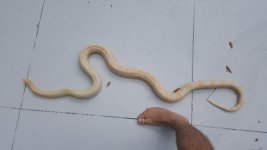 20180819_105557.jpg
