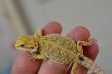 DSC_4397.jpg