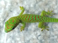 20191006_125439.jpg