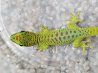 20191006_124954.jpg