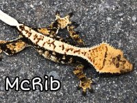 C613B5C5-B4F5-48BD-BAB6-986EEC079706.jpeg