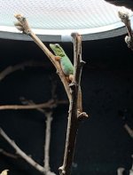 IMG_1094.jpg