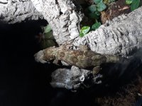 20190823_141959.jpg