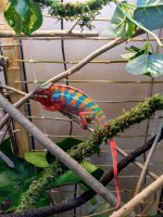 IMAG0038 (2017-12-28T13_33_39.000).jpg