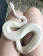 555D9872-0BF6-4FF7-B6FF-0BF827E284B0.jpg